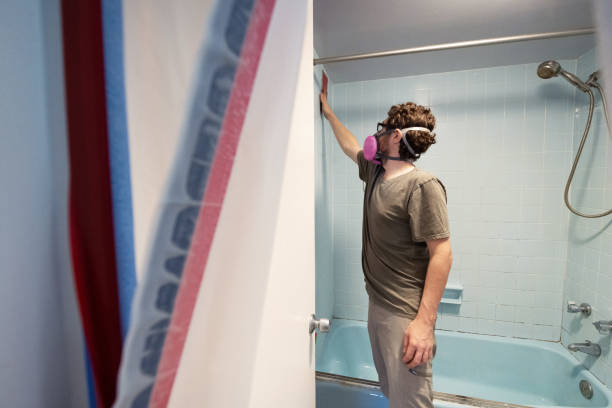 Best Mold Remediation for Rental Properties  in Texas City, TX