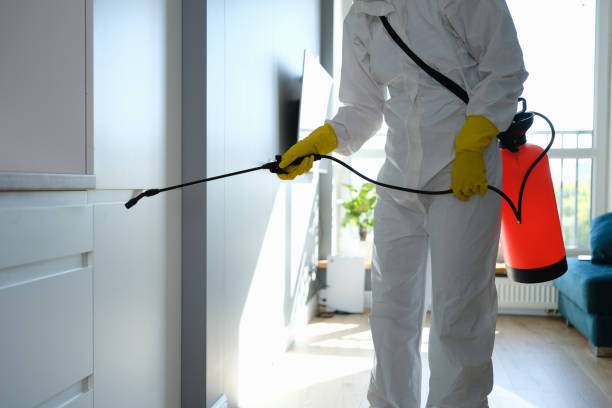 Mold Remediation for Rental Properties in Texas City, TX